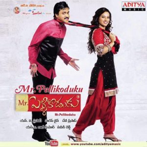 Mr.PelliKoduku (2013) (Telugu)
