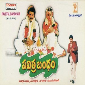 Pavithra Bandham (1996) (Telugu)