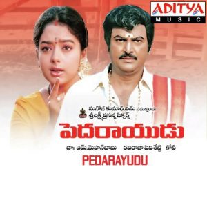 Peddarayudu (1995) (Telugu)