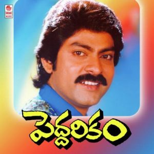 Peddarikam (1992) (Telugu)