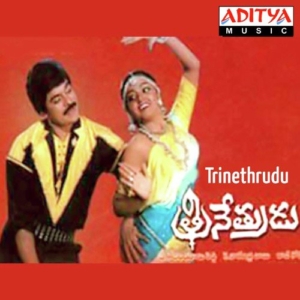 Trinethrudu Movie Songs